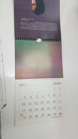 calendario pared: Daneil Berdala, Abstraccions 2011