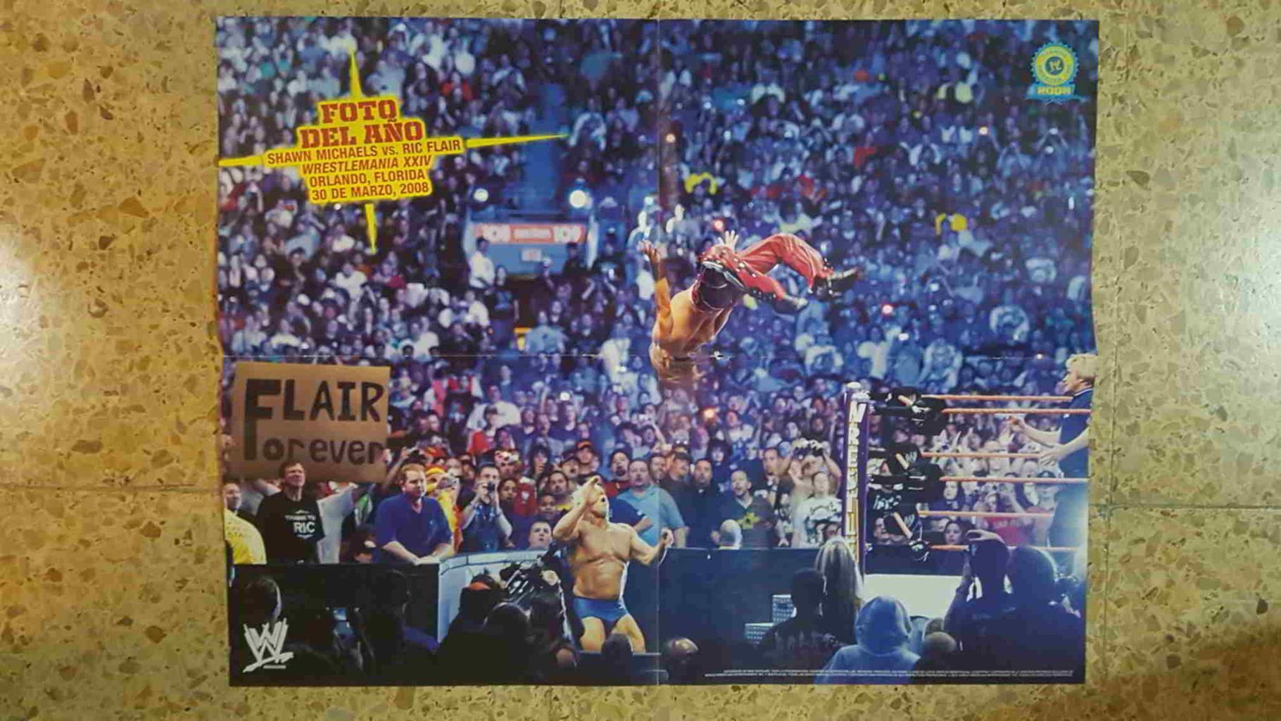 Poster desplegadoble doble: Shawn Michaels vs Ric Flair (2008, Florida) - El enigma ha aterrizado
