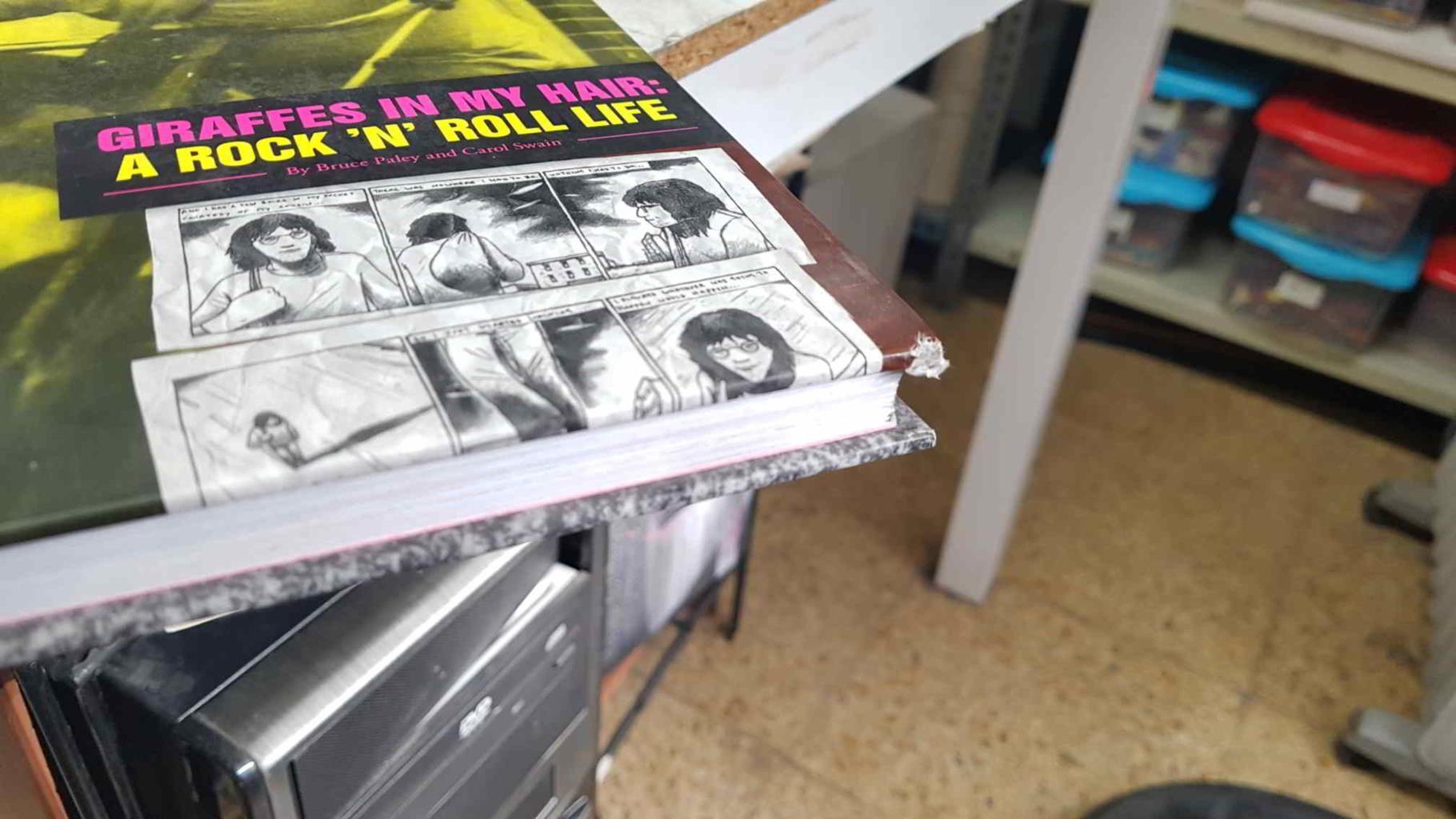 Fantagraphics Books: Giraffes in mi hair. A rock n roll life by Bruce Paley and Carol Swain - Janet, A Summer Odyssey