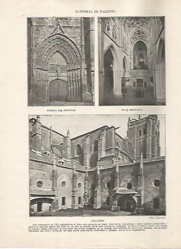 LAMINA 17843: Catedral de Palencia