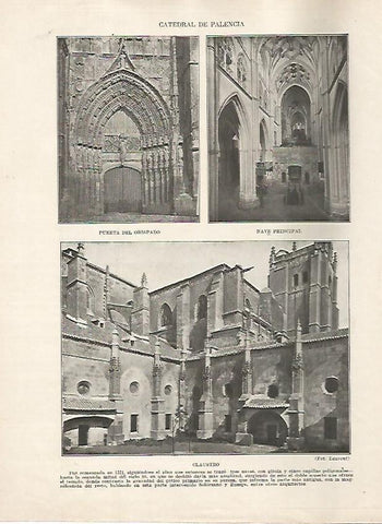 LAMINA 17843: Catedral de Palencia