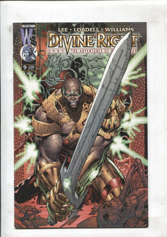 Divine Right numero 09: la caida del reino hueco
