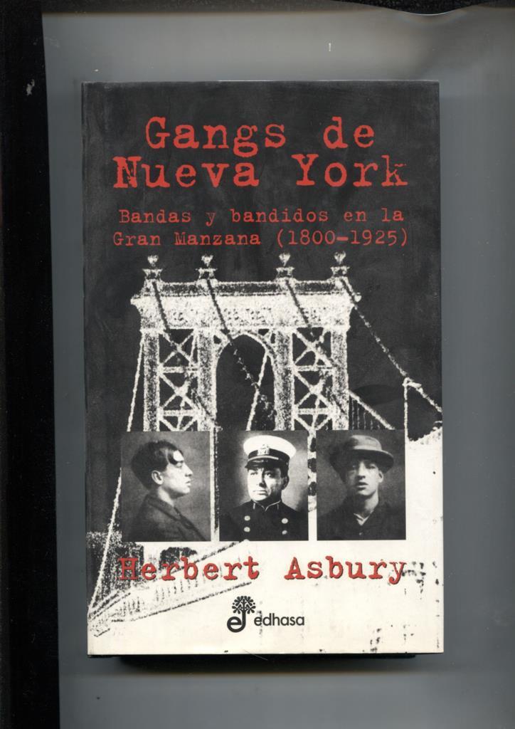 Gangs de Nueva York: bandas y bandidos en la gran manzana (1800-1925)