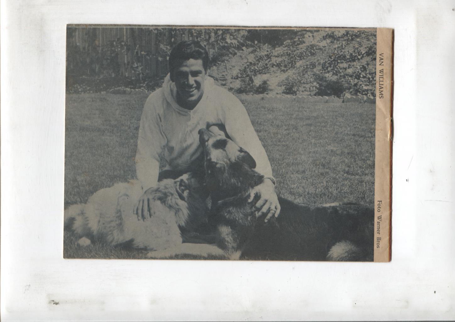 Mary Noticias numero 158: trasera foto de Van Williams