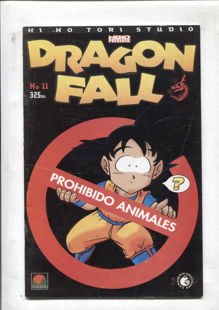 Dragon Fall numero 11