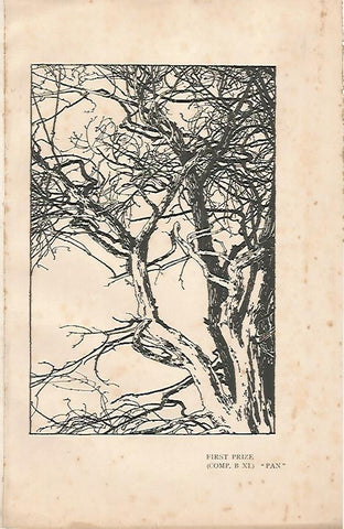LAMINA 18494: First Prize