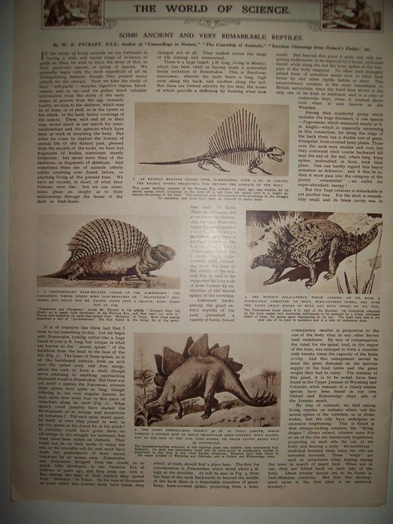 LAMINA 18584: Reptiles de la antigüedad