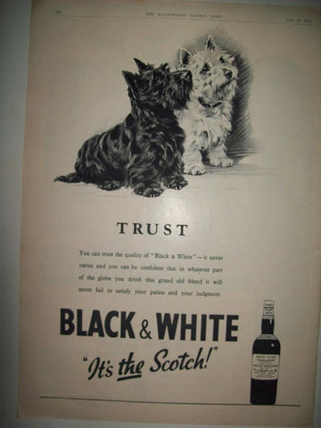 LAMINA 18586: Publicidad de Black and White