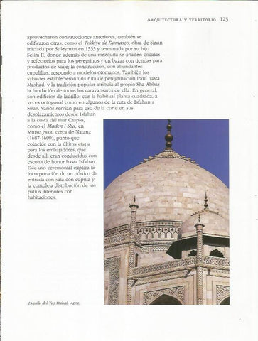 LAMINA 18737: Detalle del Taj Majal en Agra, India