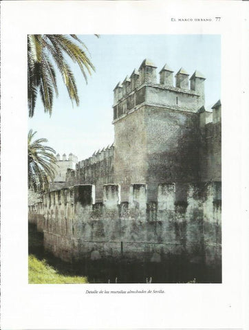 LAMINA 18716: Murallas almohades de Sevilla