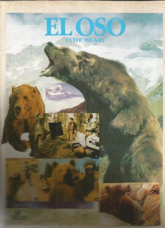 LAMINA 18780: Fotografías de El oso