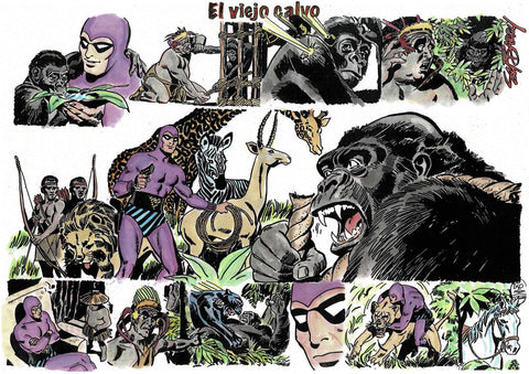 Poster DIN 4 numero 0097 serie El Hombre Enmascarado (The Phantom) modelo 22: El viejo calvo