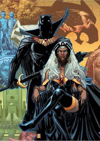 Poster DIN 4 numero 0352/1: Tormenta y Pantera Negra