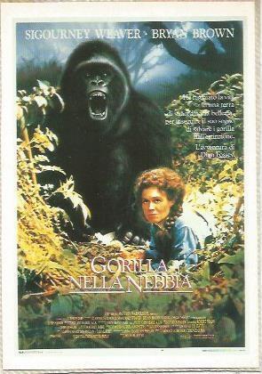 POSTAL A0923: Gorilla nella nebbia