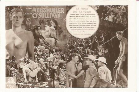 POSTAL A0851: La fuga de Tarzan