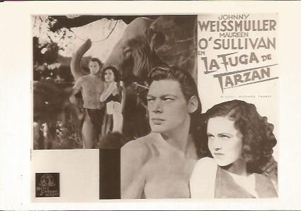 POSTAL A0844: La fuga de Tarzan