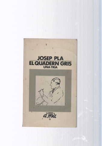 Llibres a ma numero 11: El Quadern gris, una tria
