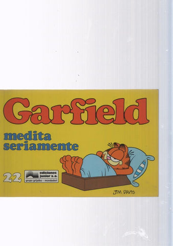 numero 22: Garfield medita seriamente