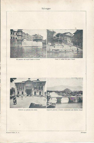 LAMINA ESPASA 34259: Palacio del lrajah en Srinagar, India