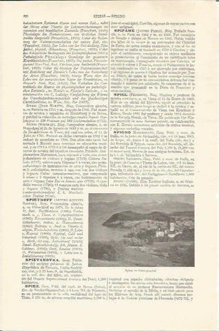 LAMINA ESPASA 34251: Vista general de Spiez, Suiza