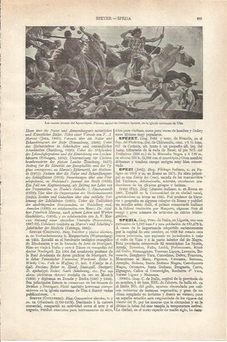 LAMINA ESPASA 34248: Los cuatro jinetes del Apocalipsis, por Speyer