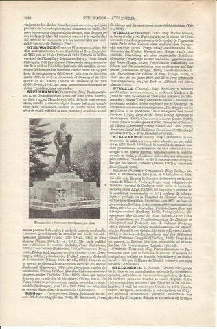 LAMINA ESPASA 34282: Monumento a F. Stelzhamer en Linz