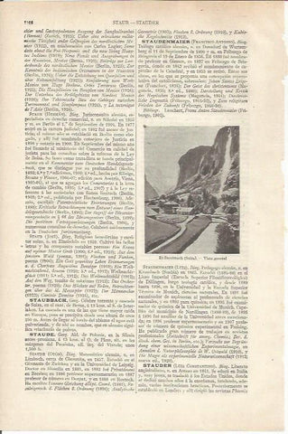 LAMINA ESPASA 34275: El Staubach, Suiza