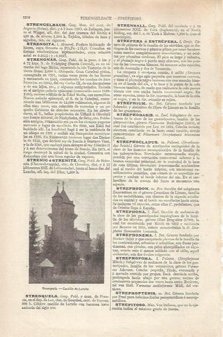 LAMINA ESPASA 34306: Castillo de Latuille en Strenquels, Francia