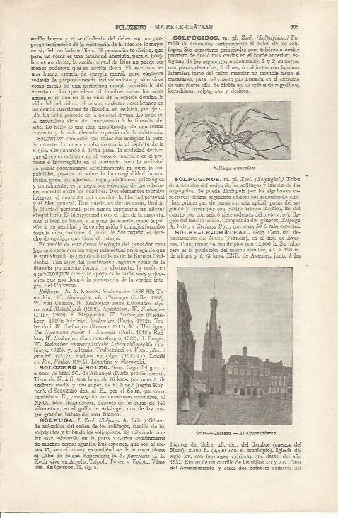 LAMINA ESPASA 34136: Ayuntamiento de Solre le Chateau, Francia