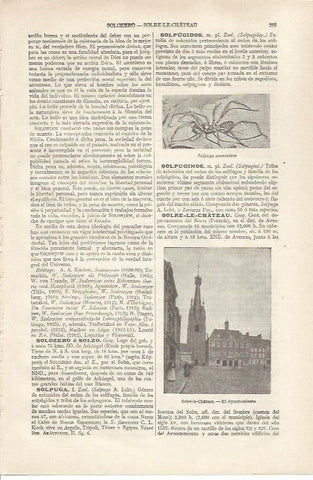 LAMINA ESPASA 34136: Ayuntamiento de Solre le Chateau, Francia