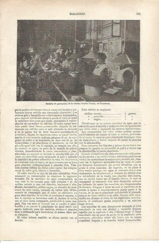 LAMINA ESPASA 34160: Seccion de guarnicion de la fabrica Emilio Tomas de Barcelona