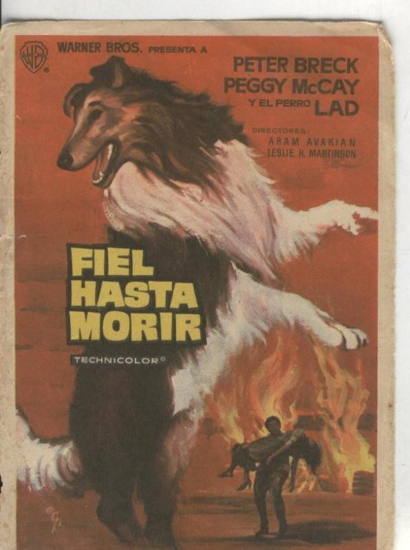 Programas de Cine: Fiel hasta morir