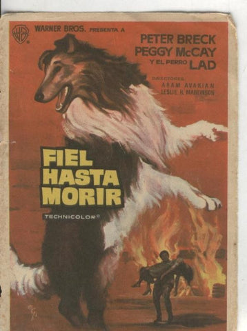 Programas de Cine: Fiel hasta morir