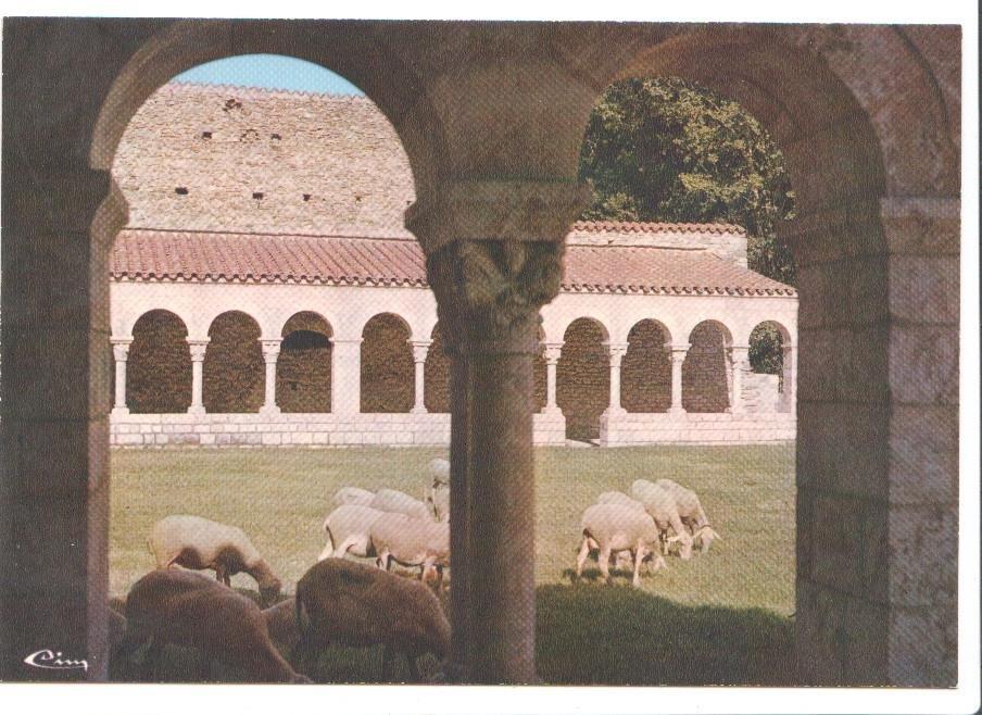 Postal JC050: Abayye de St-Michel-de-Cuxa (Pyr.-Or.), Les moutons dans le Cloitre