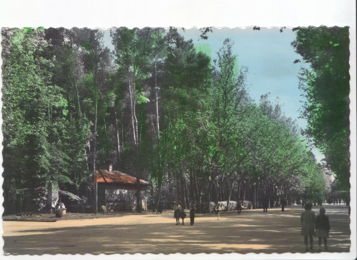 Postal JC088: Paseo central del Parque