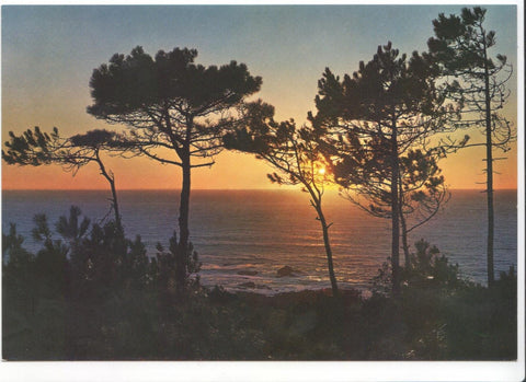 Postal JC0112: La Guardia (Pontevedra). Puesta del sol
