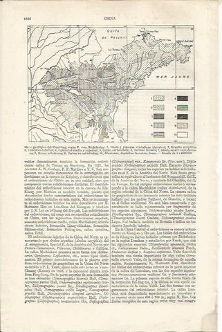 LAMINA ESPASA 34986: Mapa geologico de Shantung, China