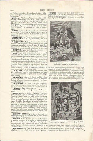 LAMINA ESPASA 34990: Caballos espantados y Los navegantes, por J. Chirico