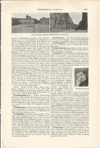 LAMINA ESPASA 34941:  Plaza y Via Roma en Cuneo, Italia
