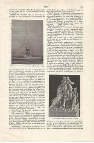 LAMINA ESPASA 35163: Toro de la Cascada del Trocadero de Paris