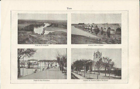 LAMINA ESPASA 35169: Campiña, puiente, Paseo de San Francisco y Ermita del Canto en Toro