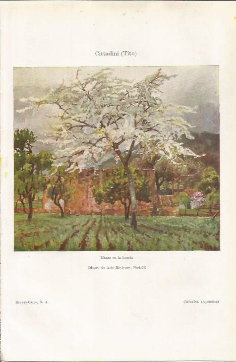 LAMINA ESPASA 35249: Marzo en la huerta, por Tito Cittadini