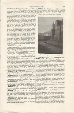 LAMINA ESPASA 35230: Castillo de los Cruciferos en Torun, Polonia