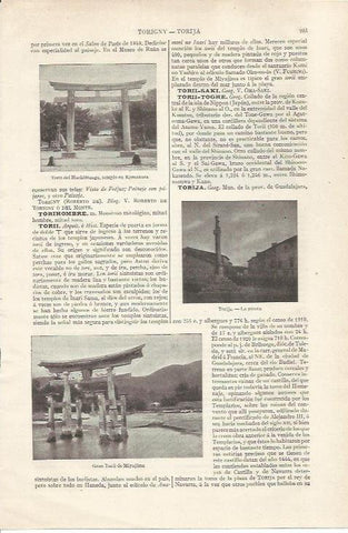 LAMINA ESPASA 35141: La picota de Torija, Guadalajara