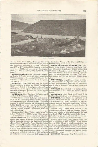 LAMINA ESPASA 34557: Bingen y Bimgerbruck, Alemania