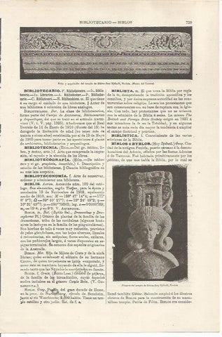 LAMINA ESPASA 34529:  Friso del templo de Biblos