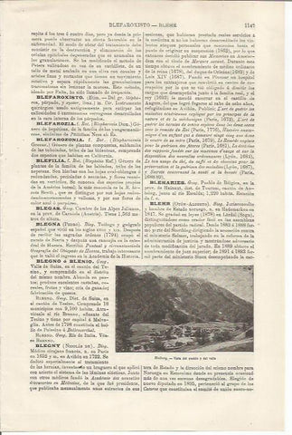 LAMINA ESPASA 34596: Vista de Bleiberg, Austria