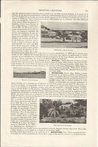 LAMINA ESPASA 34466: San Jorge en Bermuda