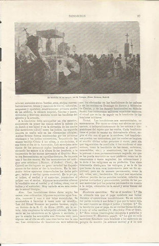 LAMINA ESPASA 34428: La bendicion de los campos, por Viniegra