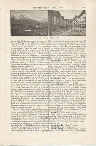 LAMINA ESPASA 34444: Plaza del Mercado y vista de Berchtesgaden, Alemania